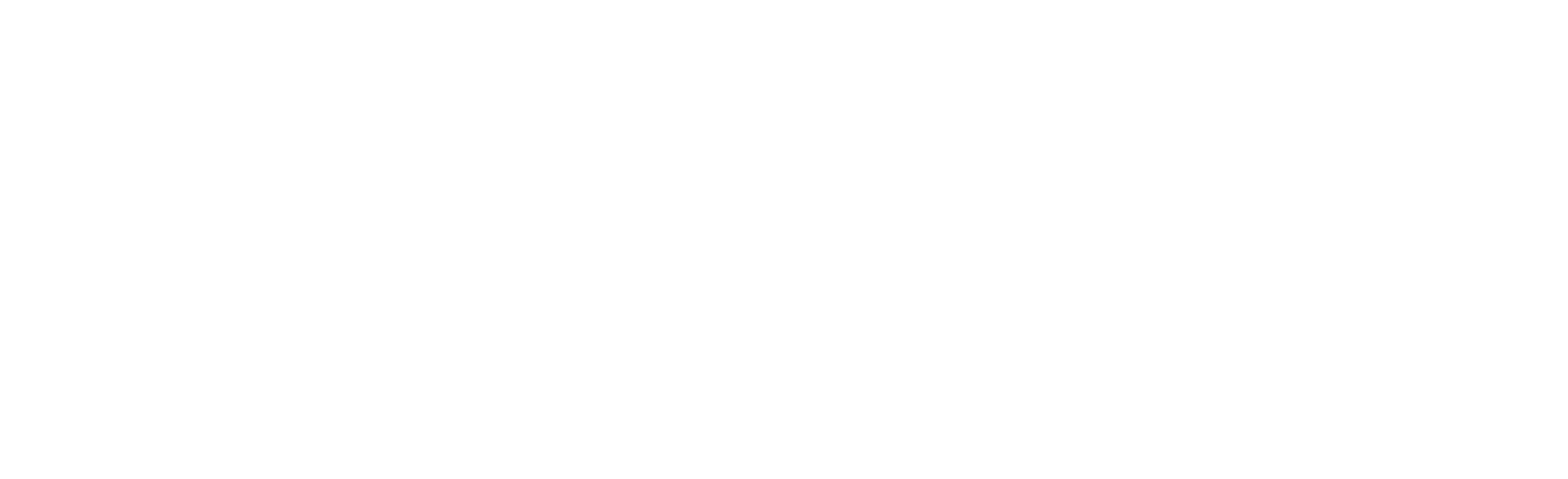 Seal Swimming